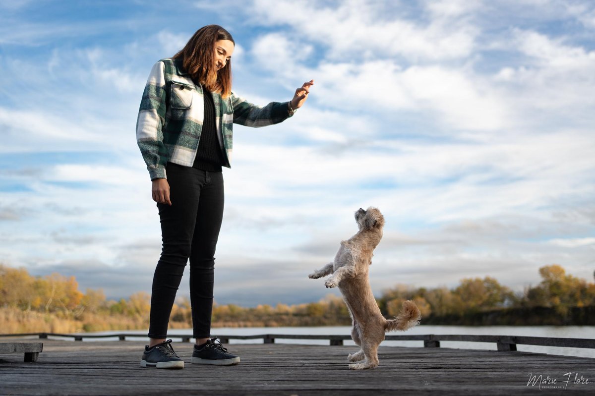 Séance d’éducation canine